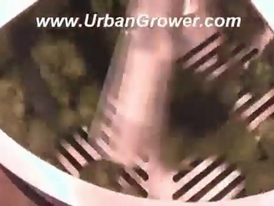 Trim Reaper Weed Trimmer