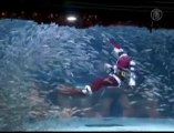 South Korean Aquarium Celebrates Christmas with Fish Perform