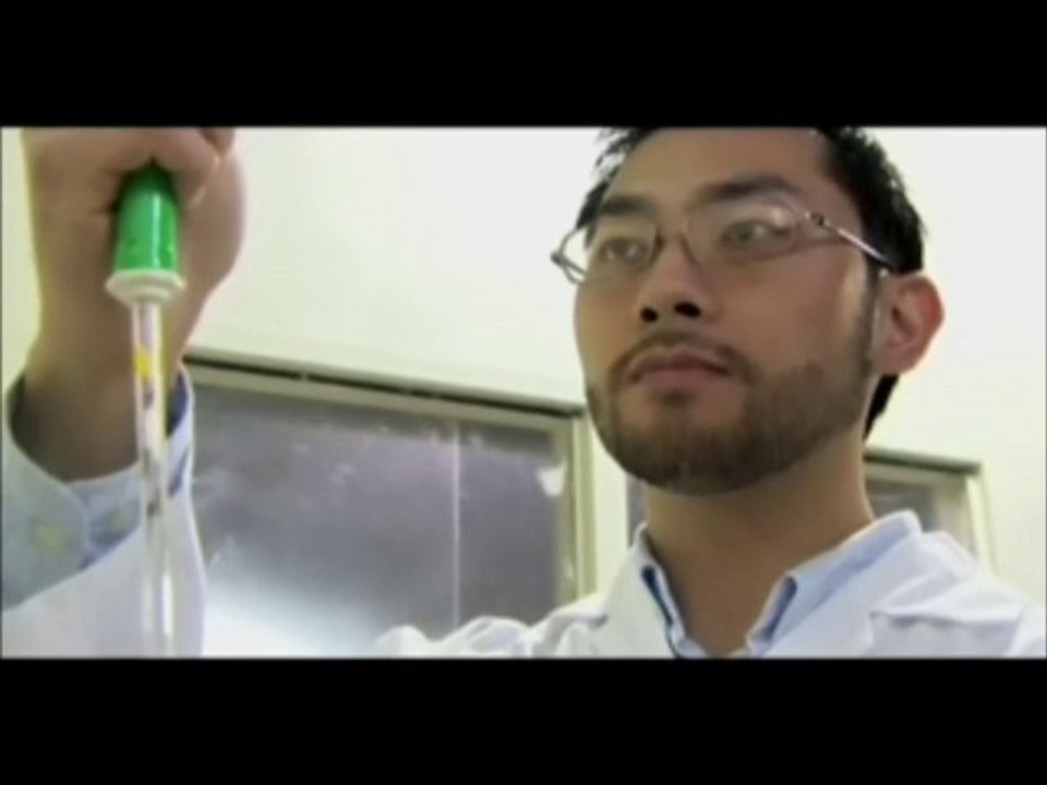 The Intra Formula -- A Nutritional Food Supplement