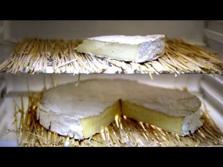 MyFrenchFilmFestival.com - 1st edition - trailer