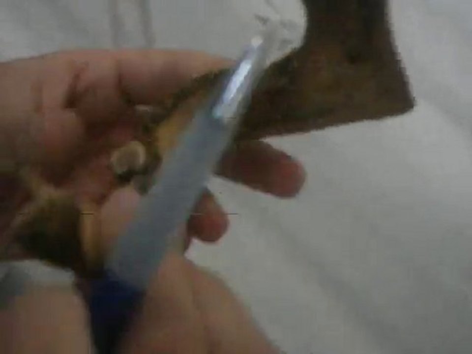 mandıbula