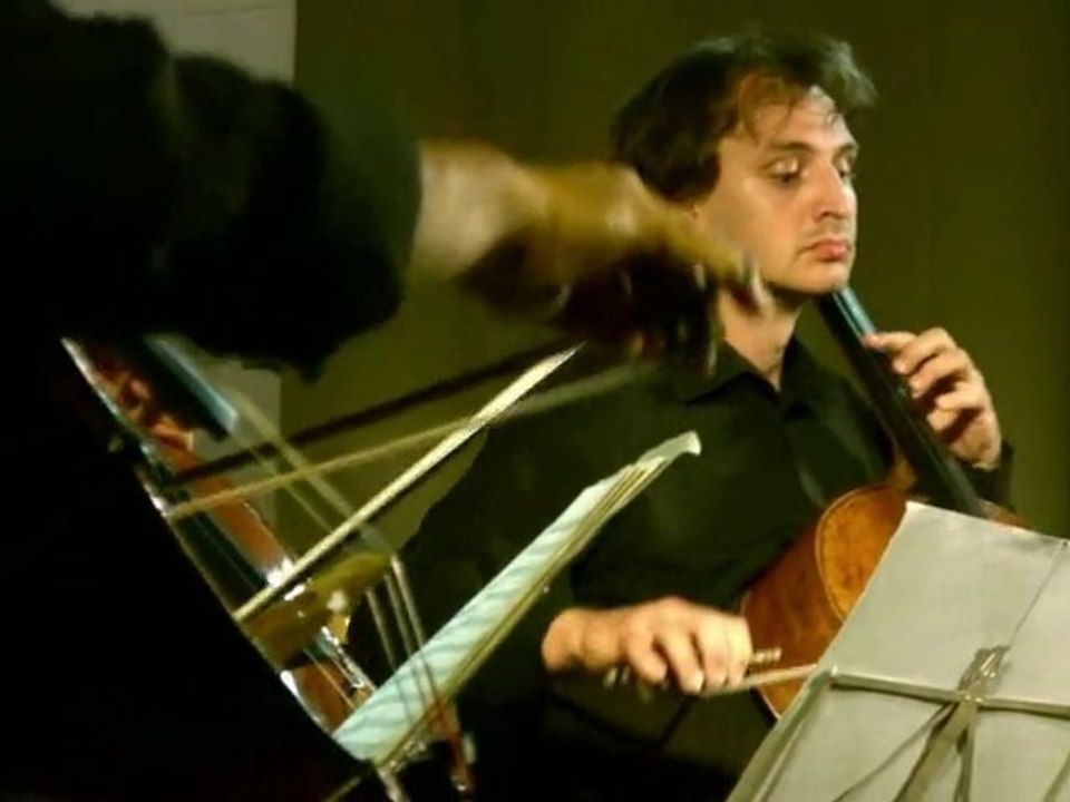CELLO FAN 1