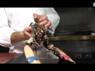 Teaser Recette Homard