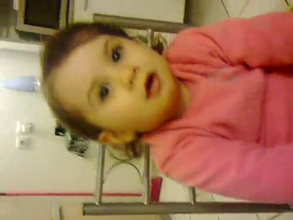araigne gypsy