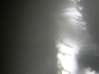 Tête de marijuana résineuse microscope X10 variété : La White Skunk " AJICéKAFOIRé"