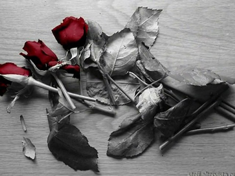 ONuR AKıN YaĞMuR YüReKLiM  (ßy.KaNKa®)