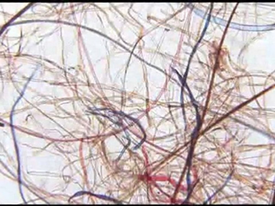 CSI And Trace Evidence : What is 'trace evidence' and how is it studied in CSI?