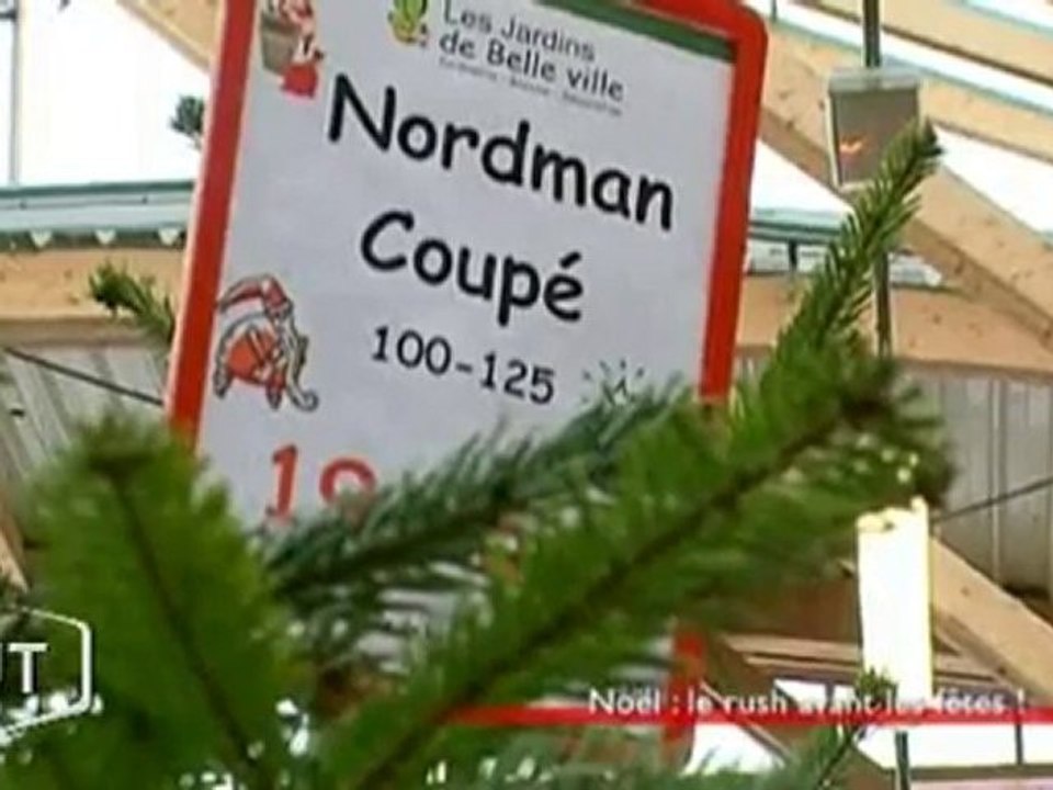 Mon beau sapin, ... roi des magasins (Vendée)