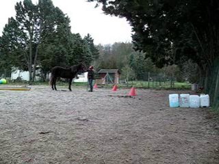 web 1. jeu de la conduite 12.10