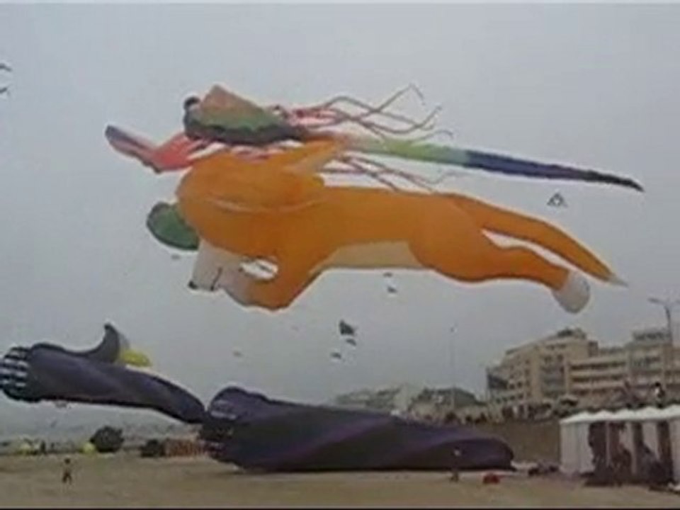 CERF VOLANTS