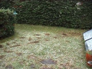 Neige 16 décembre 2010