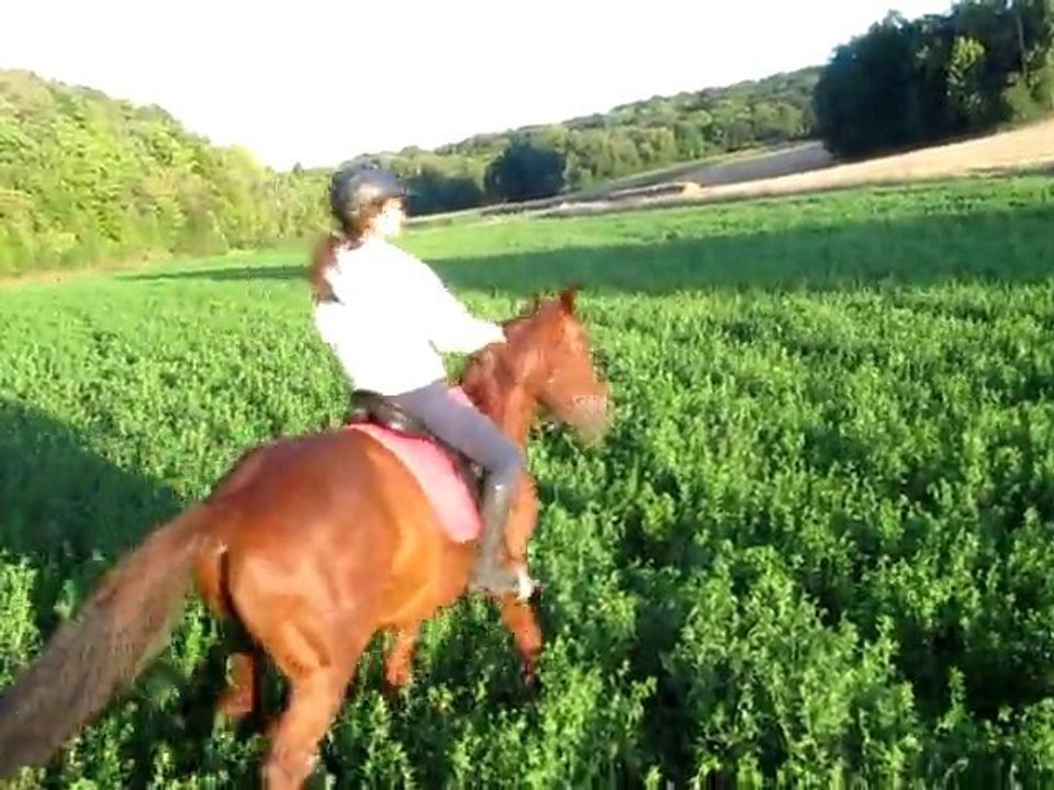 jo dans le trefle
