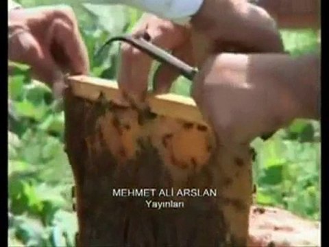 ARDAHAN MANZARALARI @ Mehmet ali arslan YAYINLARI