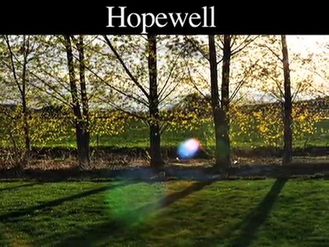 Tree Stump Removal | Stump Grinding | Princeton-Hopewell-Sk