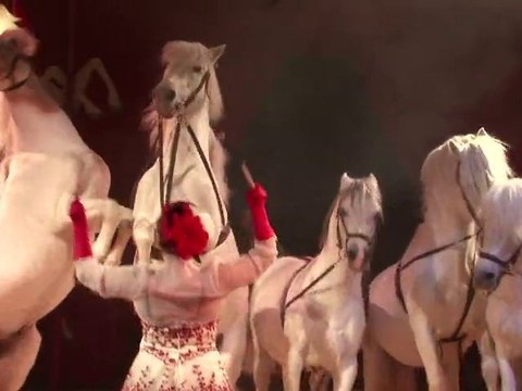 La Culturelle - Jeane Manson chez Bouglione - 15/12/2010