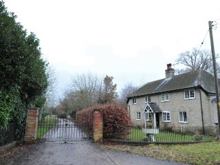 WikiLeaks founder Assange granted bail in London