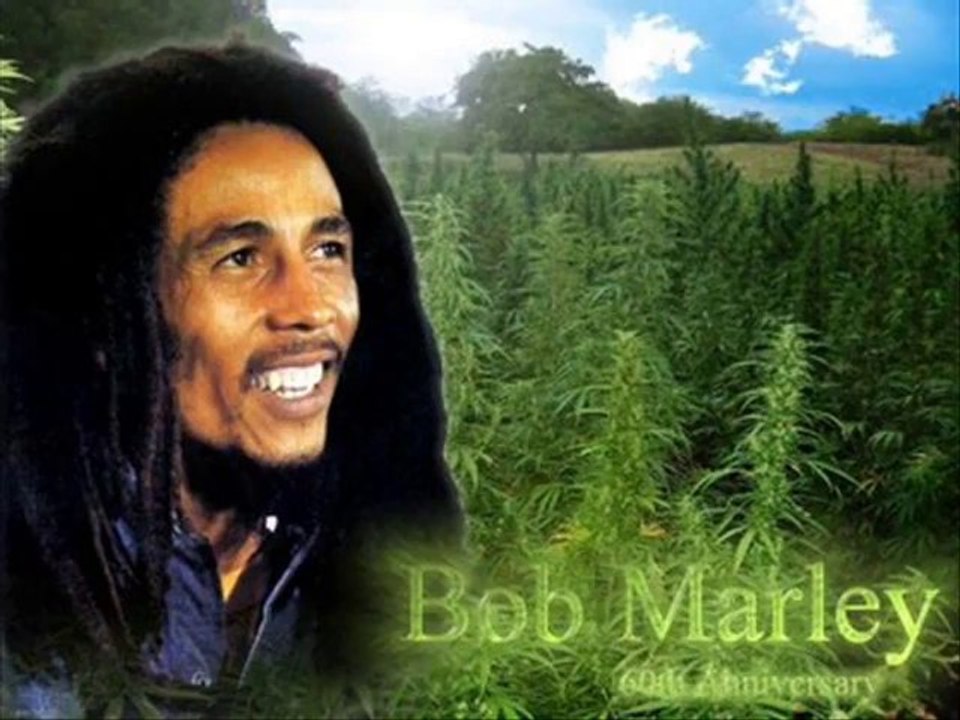 reggae roots