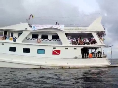 Peterpan Cruise for Scuba Diving & Snorkeling on Liveaboard