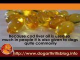 Cod Liver Oil Supplements for Dog Arthritis Treatment
