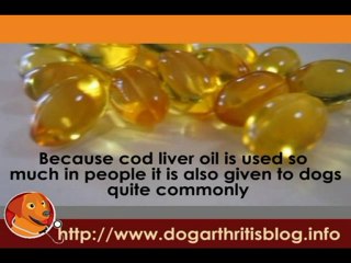 Cod Liver Oil Supplements for Dog Arthritis Treatment