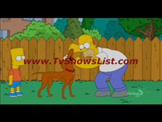 The Simpsons Season 22 Episode 7 "How Munched Is That Birdie