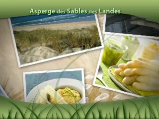 Asperge des Sables des Landes