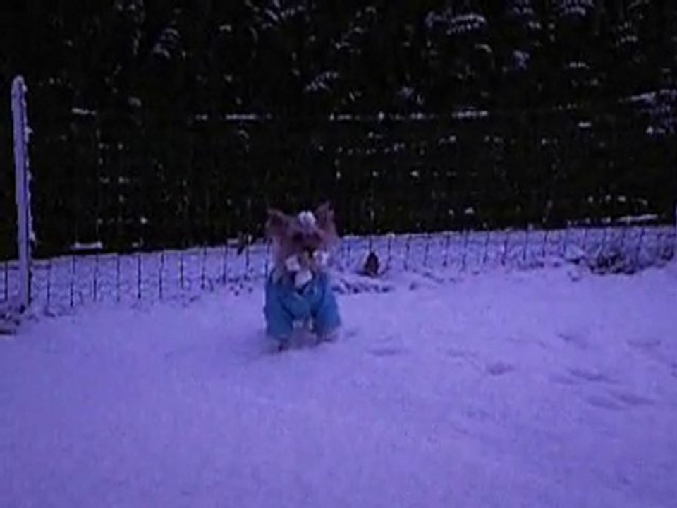 Le retour de la neige