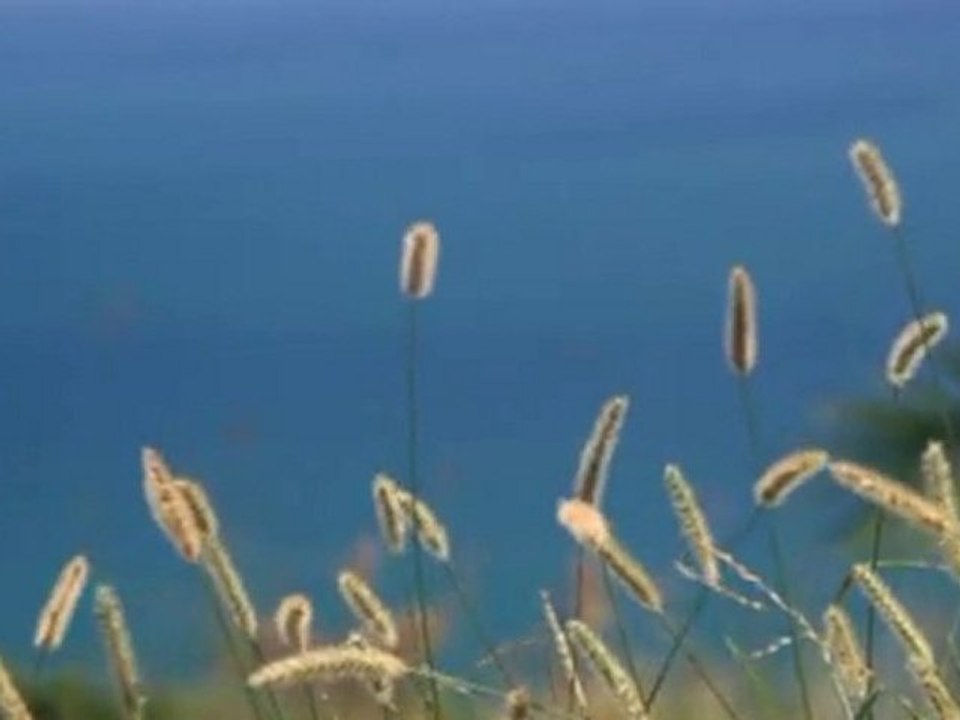 My Video test