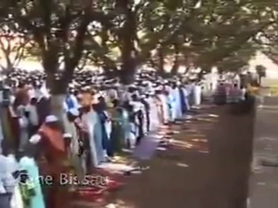 L'Islam et le monde