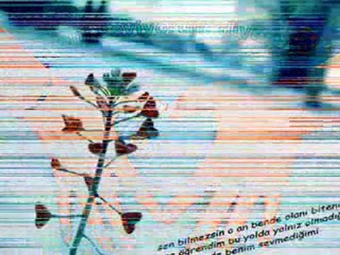 cevdet-bağca al ömrümü ( guncel-blog.com)