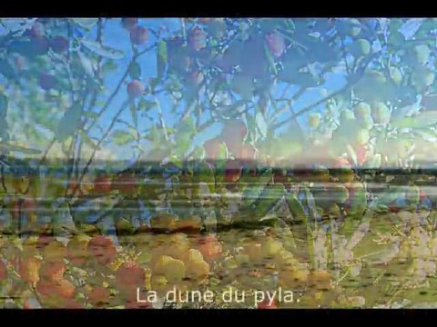 La région des landes à sanguinet entre arcachon & biscarosse