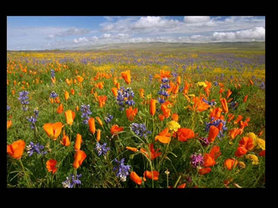 para sempre te amarei Senhor- cantor Elias Manoel