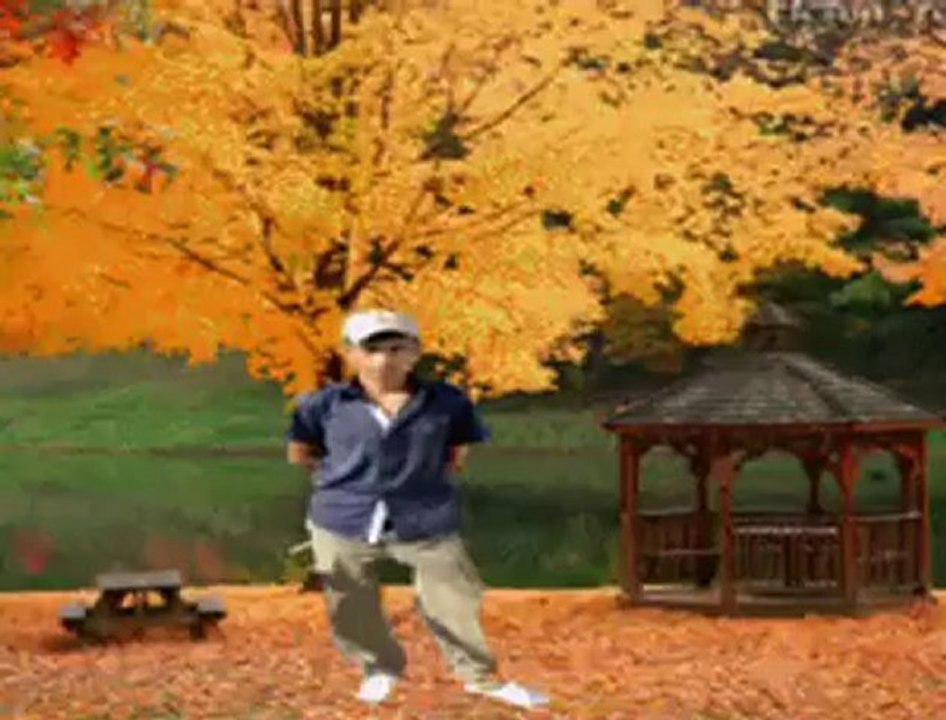 sdsdsa