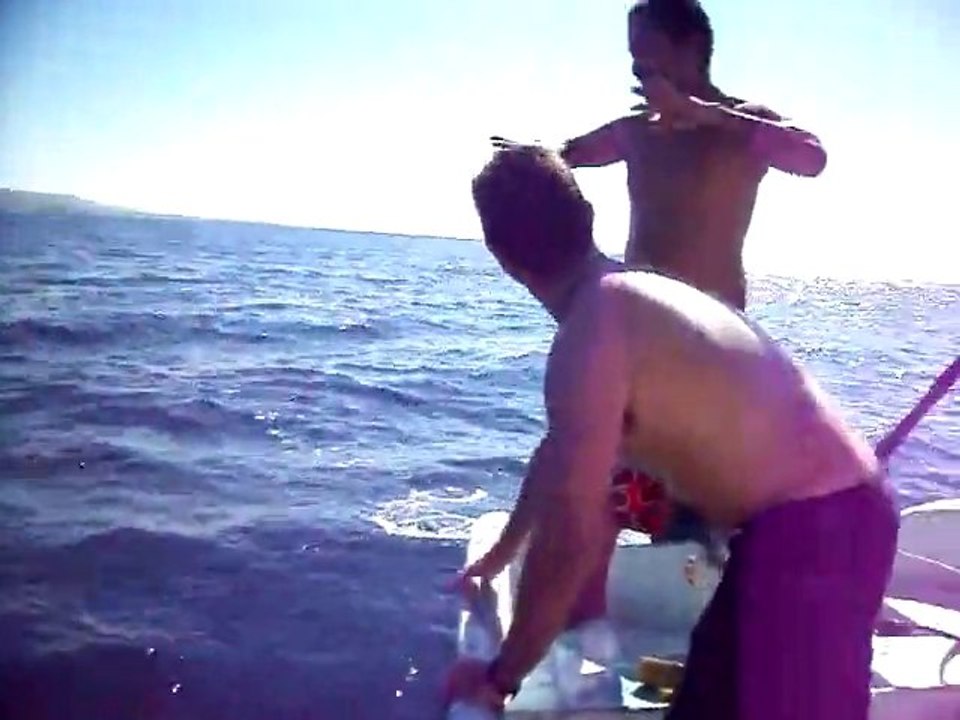 Mempakap-Liberer la tortuga !!!