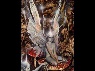 We Can Fly Away - Emma Townshend