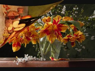 Still life - video 2010