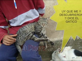 TRANQUILIDAD MENTAL | Como Lograr el Exito