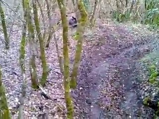 apres midi quad avec stxe 250