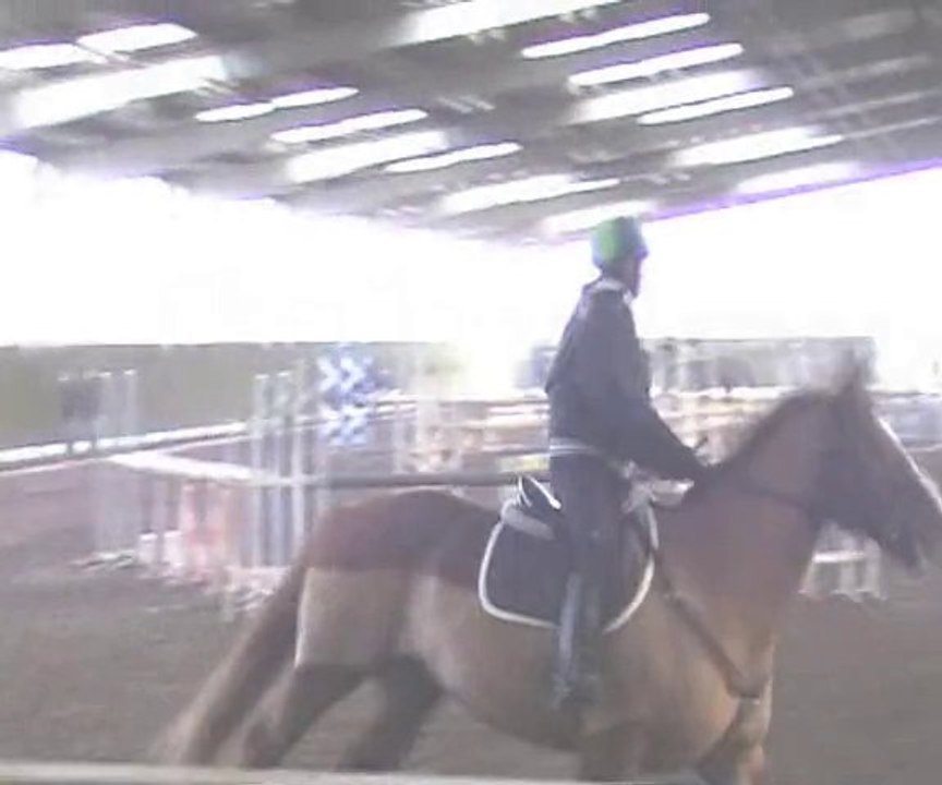 Challenge CSO décembre 2010