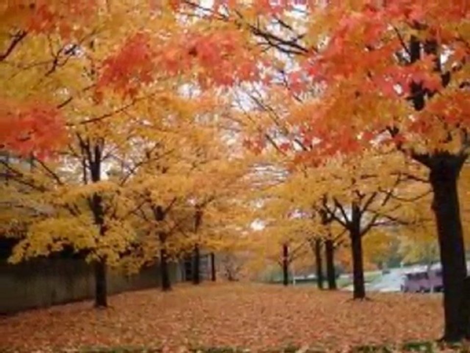 Sensiz Olamıyorum Galip Soykan