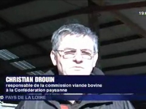Le revenu des éleveurs de viande bovine au plus bas