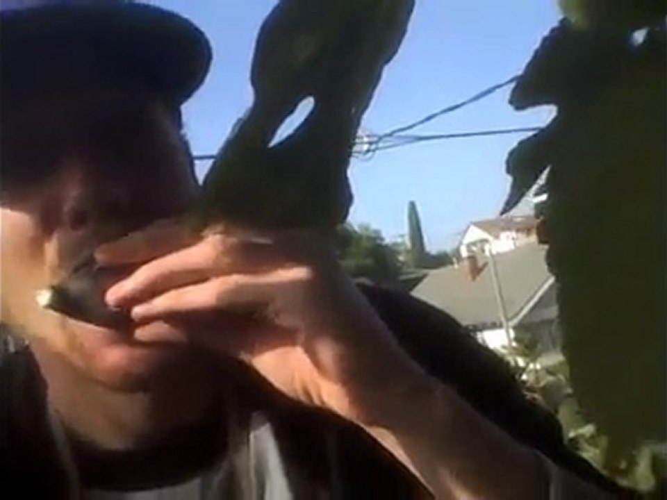 The Raw Advantage - Fruit Foraging in LA