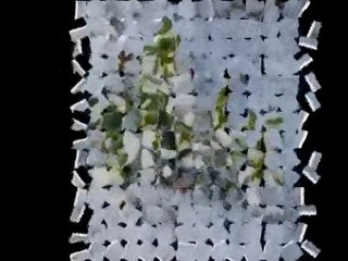 GERİ DÖN-Şiir Yorum Müjgan AKSULAR