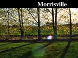 Tree Stump Removal | Stump Grinding | Morrisville-Yardley,