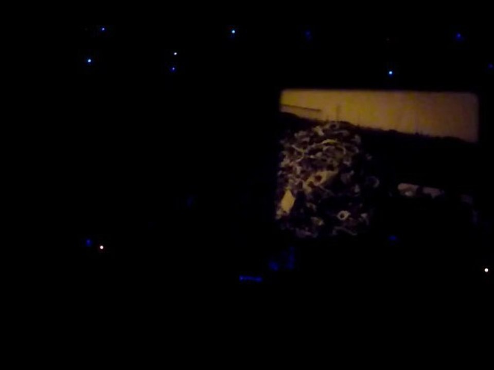 Godspeed You! Black Emperor Live Athens 2010