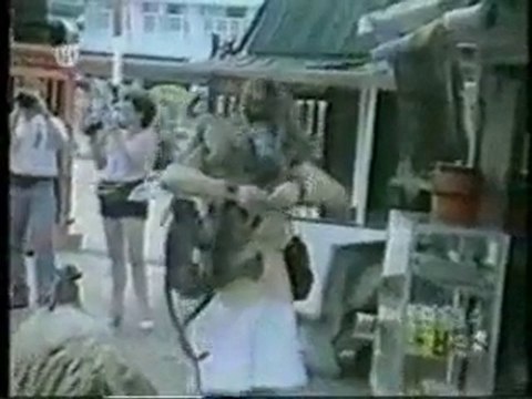 Hayvanların Komik Halleri :)