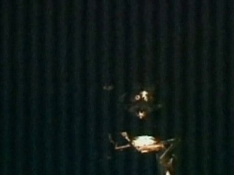 Capsule docks with International Space Station