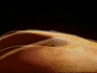 Incroyable Corps Humain 3