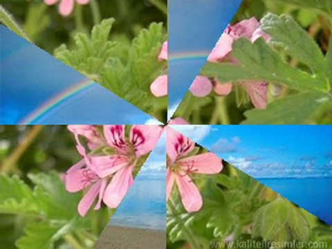 GÜNEŞ TOPLA BENİM İÇİN ZÜLFÜ LİVANELİ