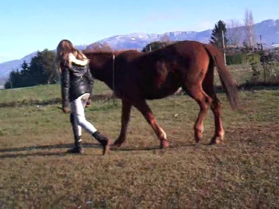 Séance de travail avec Una le 18 Décembre 2010